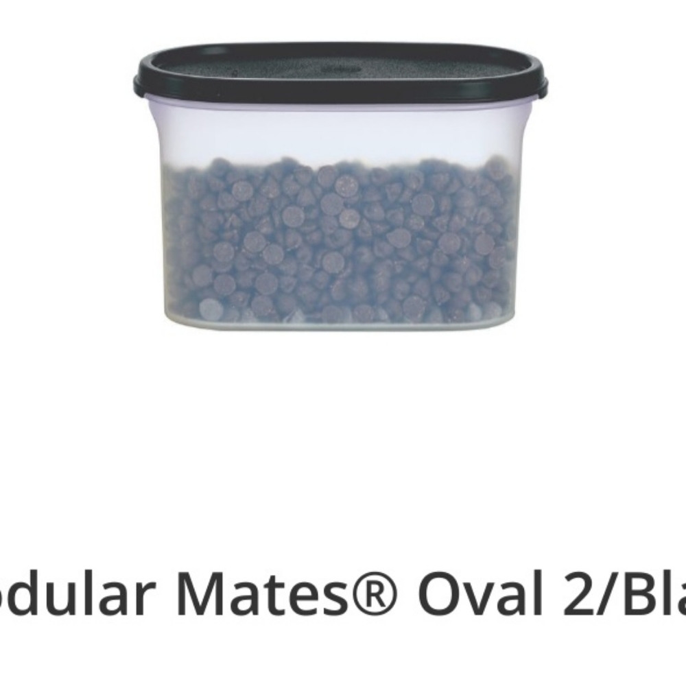 Tupperware modular mate oval #2